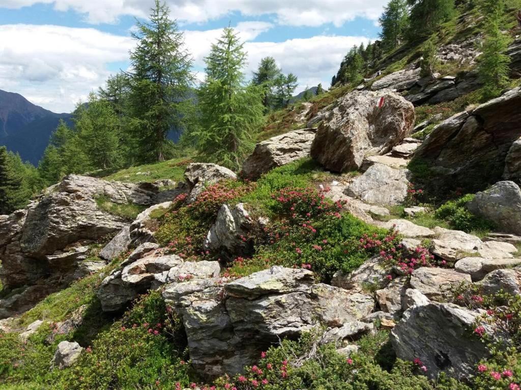 Rudigier Margret Und Franz Apartment Sankt Gallenkirch Bagian luar foto