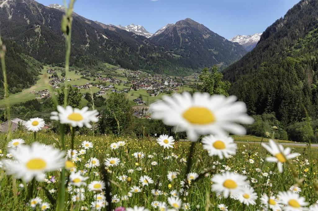Rudigier Margret Und Franz Apartment Sankt Gallenkirch Bagian luar foto